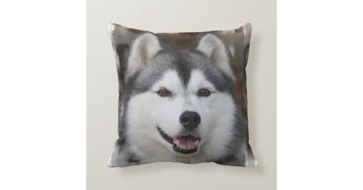 pillow husky