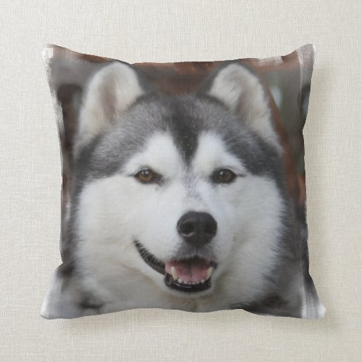 pillow pet husky