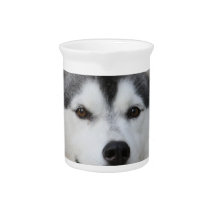 Husky Dog  Pitcher