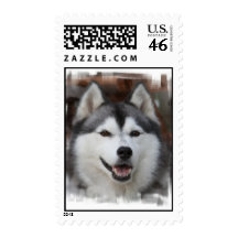 Husky Dog Postage Stamp