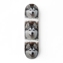 Husky Dog Skateboard