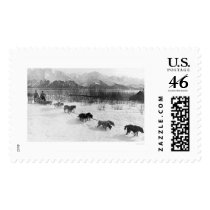 Husky Dog Team Alaska 1918 Postage Stamps