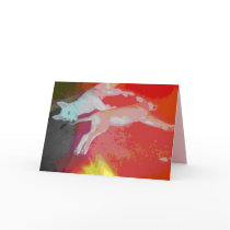 Husky Dreams cards