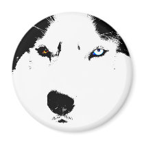 Husky Fridge Magnet Alaskan Sled Dog Magnet / Gift