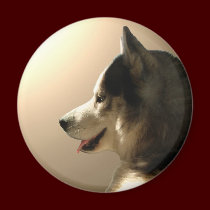 Husky Fridge Magnet Alaskan Sled Dog Magnet / Gift magnets