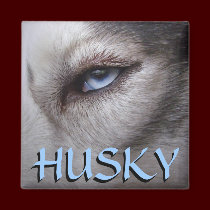 Husky Fridge Magnet Alaskan Sled Dog Magnet / Gift magnets