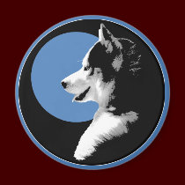 Husky Fridge Magnet Alaskan Sled Dog Magnet / Gift magnets
