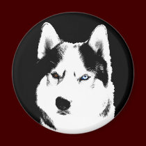 Husky Fridge Magnet Alaskan Sled Dog Magnet / Gift magnets
