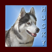 Husky Fridge Magnet Alaskan Sled Dog Magnet / Gift magnets