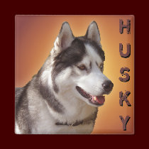 Husky Fridge Magnet Alaskan Sled Dog Magnet / Gift magnets