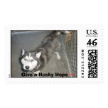 husky, Give a Husky Hope postage