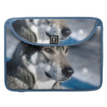 Husky in Snow 15" MacBook Sleeve Sleeve For MacBooks