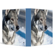 Husky in Snow Binder