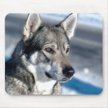 Husky in Snow Mouse Pad