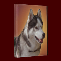 Husky iPad Case Custom Husky Malamute iPad Cases caseable cases