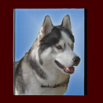 Husky iPad Case Custom Husky Malamute iPad Cases caseable cases
