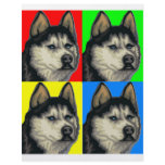 Husky Malamute Goes Primary Collage Custom Flyer
