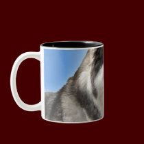 Husky Mug Coffee Cup Cool Siberian Husky Cup mugs