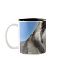 Husky Mug Coffee Cup Cool Siberian Husky Cup