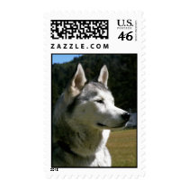 Husky postage
