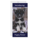 Husky Pup Rack Card
