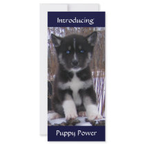 Husky Pup Rack Card