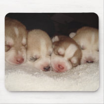 Husky puppies mousepad by puppydogs Husky puppies mousepad