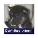 Husky puppy Magnet by Petcetera Husky puppy Magnet