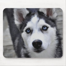 Husky Puppy Mouse Pad
