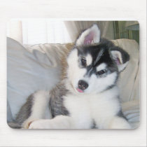 Husky Puppy Mousepad