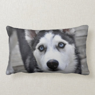 siberian husky pillow