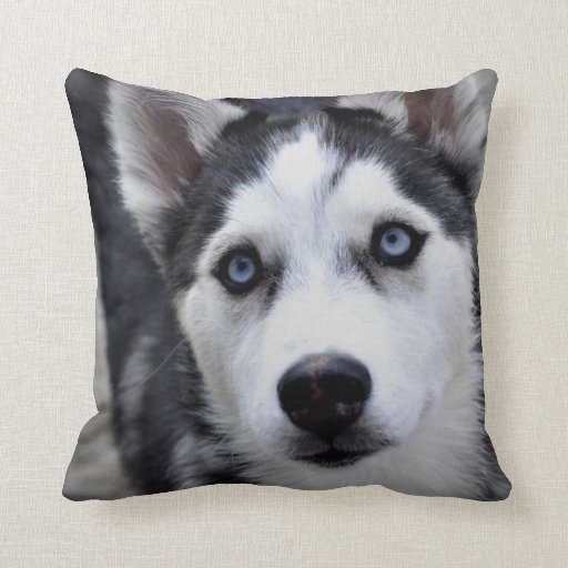 husky dog pillow