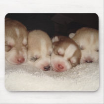 husky pups mousepads by doggypups husky pups mousepads