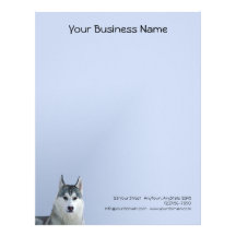 Husky siberiano en fondo azul plantilla de membrete