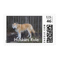 Husky stamp