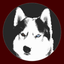 Husky Stickers Siberian Husky Malamute Stickers stickers