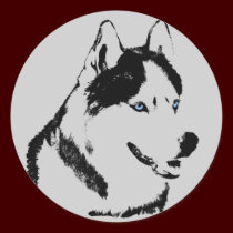 Husky Stickers Siberian Husky Malamute Stickers stickers