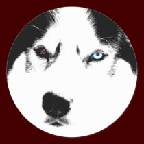 Husky Stickers Siberian Husky Malamute Stickers stickers