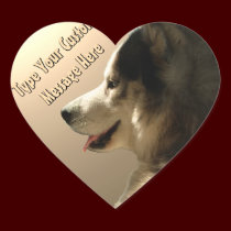 Husky Stickers Siberian Husky Malamute Stickers stickers