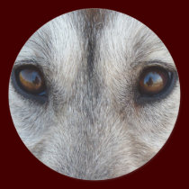 Husky Stickers Siberian Husky Wolf Pup Stickers stickers