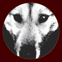 Husky Stickers Siberian Husky Wolf Pup Stickers stickers