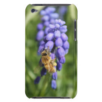 Hyacinth and Bee Ipod Touch Case