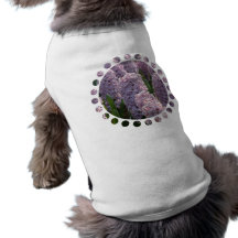 Hyacinth Bulbs Dog Shirt