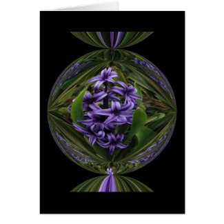 Hyacinth Candy Greeting Cards