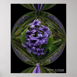 Hyacinth Candy Poster
