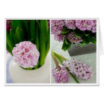 Hyacinth Diptych Greeting Card