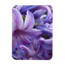 Hyacinth Flowers Premium Magnet