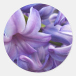 Hyacinth Flowers Sticker