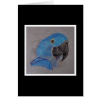 Hyacinth Macaw cards by pawtraitart Hyacinth Macaw cards