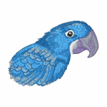 Hyacinth Macaw